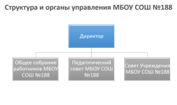 Структура и органы управления МБОУ СОШ №188